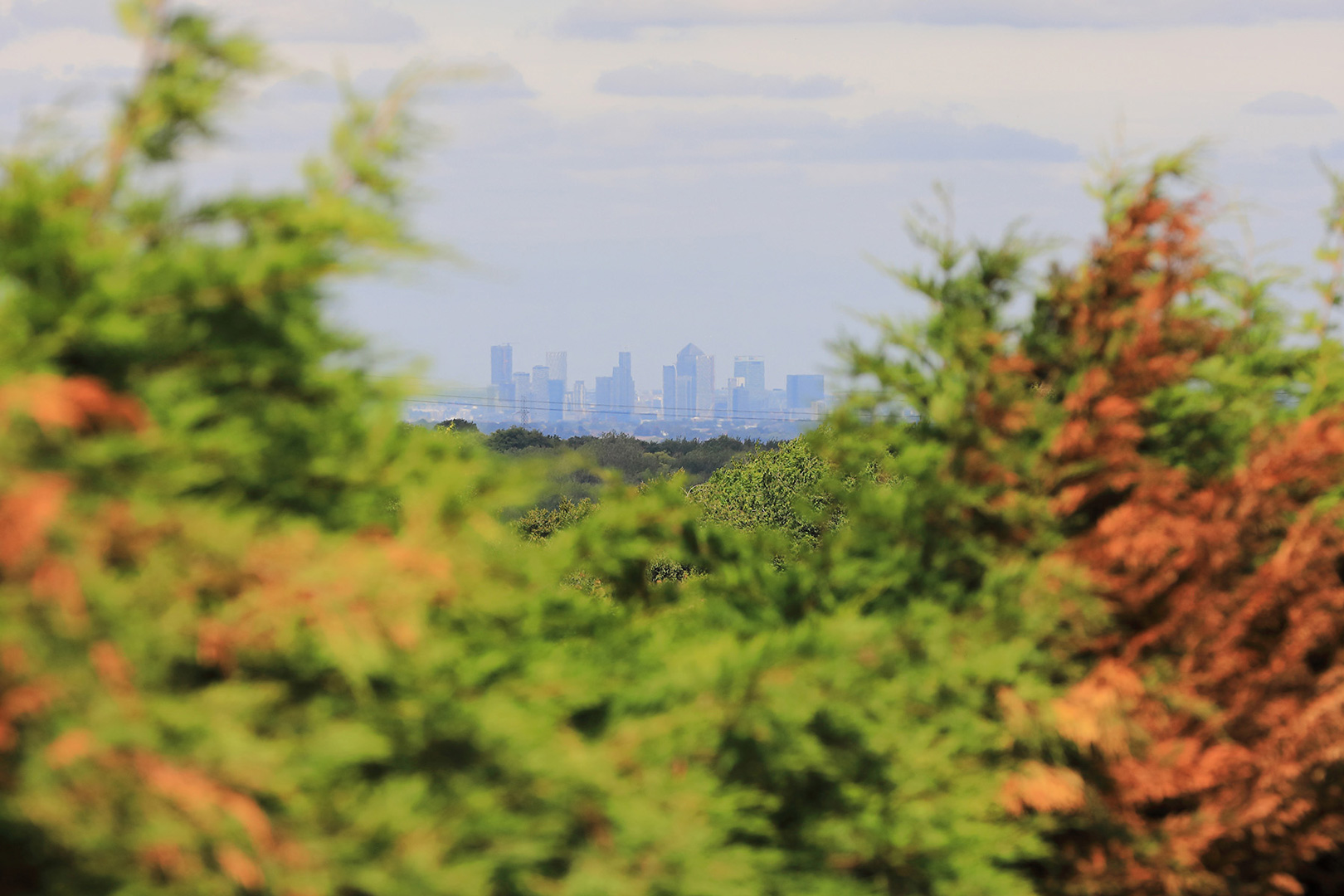Canary Wharf View from Kingsdown Meadow